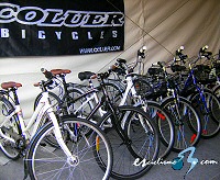Gama Coluer de ciudad 2010