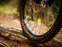 Continental amplía su gama Gravity de neumáticos MTB con 13 nuevas combinaciones Continental amplía su gama Gravity de neumáticos MTB con 13 nuevas combinaciones