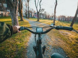 ¿Es necesaria una e-Bike de 3.000 € o puedes conseguir lo mismo por menos? ¿Es necesaria una e-Bike de 3.000 € o puedes conseguir lo mismo por menos?