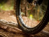 Continental amplía su gama Gravity de neumáticos MTB con 13 nuevas combinaciones Continental amplía su gama Gravity de neumáticos MTB con 13 nuevas combinaciones