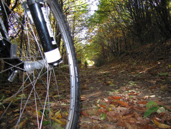 La Sierra de Francia estrena ruta de MTB para atraer a amantes del ciclismo y de la naturaleza