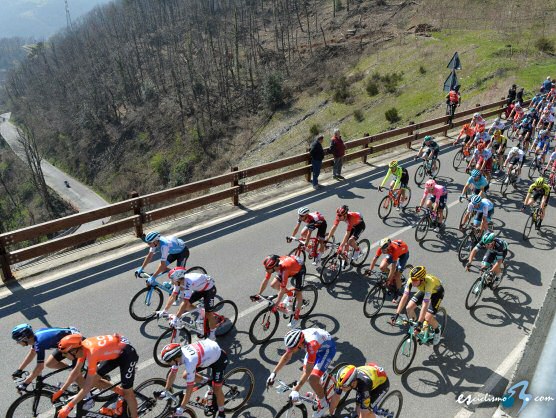 Equipos, ciclistas inscritos y dorsales de la Semana Internacional Coppi y Bartali