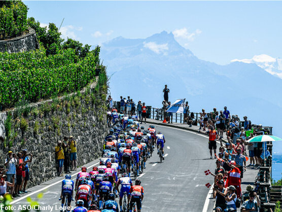 Pelotón del Tour de Francia