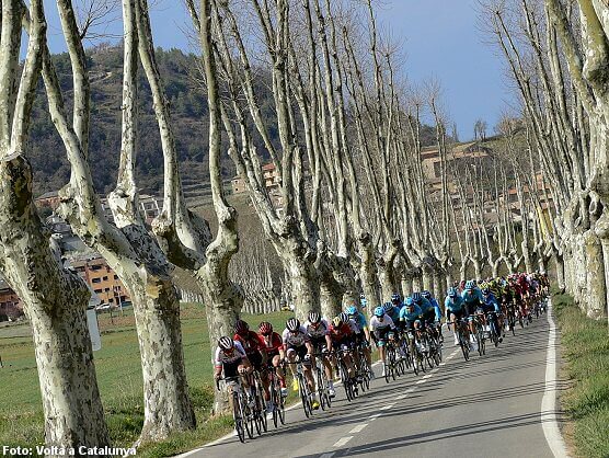 La Volta a Catalunya trabaja ya en su edición número cien La Volta a Catalunya trabaja ya en su edición número cien