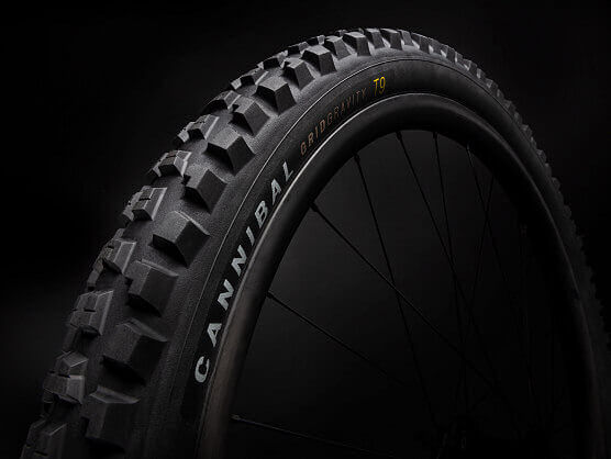 As son los nuevos neumticos Specialized Cannibal para DH