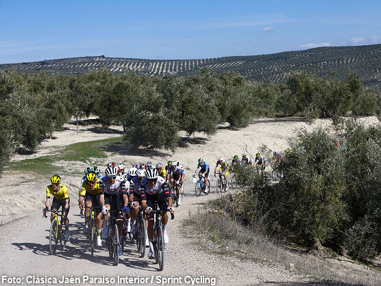 El duelo Pidcock-Iv�n Romeo ilumina la batalla por la Aceituna de Oro en la Cl�sica Ja�n [Previa]