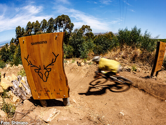 Shimano Trail Born impulsa el ciclismo de montaña con 21 nuevos proyectos en 2026 y expansión global Shimano Trail Born impulsa el ciclismo de montaña con 21 nuevos proyectos en 2026 y expansión global