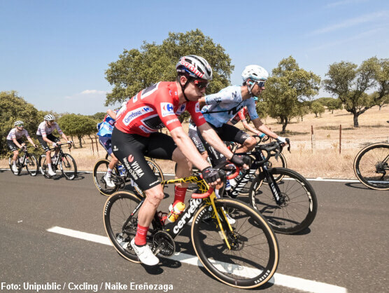 Vuelta a España: Wout van Aert : "Todos hemos sufrido el calor" Vuelta a España: Wout van Aert : "Todos hemos sufrido el calor"
