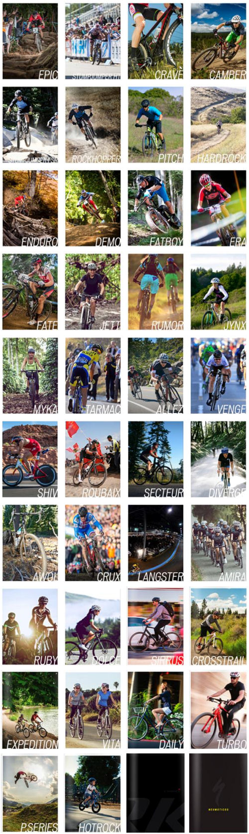 Disponibles los catálogos de todos los modelos de bicicletas