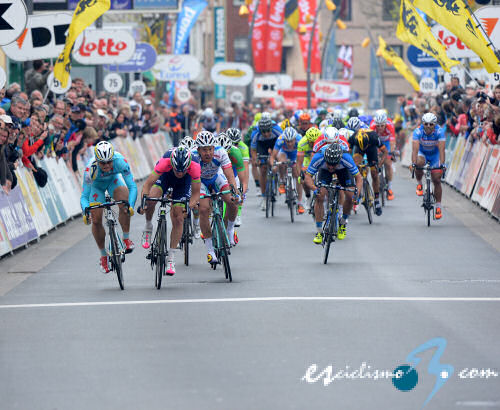 Flecha Brabanzona: Listado oficial de inscritos en la Flecha Brabanzona 2014