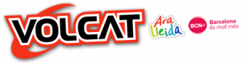 Volcat 2013