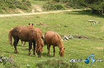 Territorio Comanche - Ruta en BTT por la Comunidad de Madrid