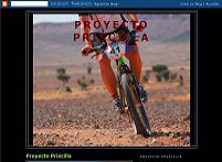 Proyecto Priscilla