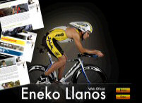 Eneko Llanos